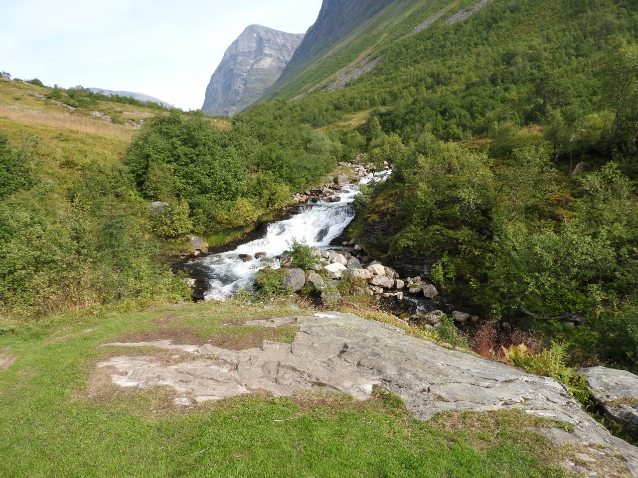 sm_DSCN5624.JPG