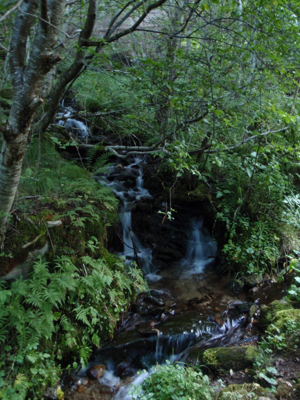 sm_P9107735.JPG