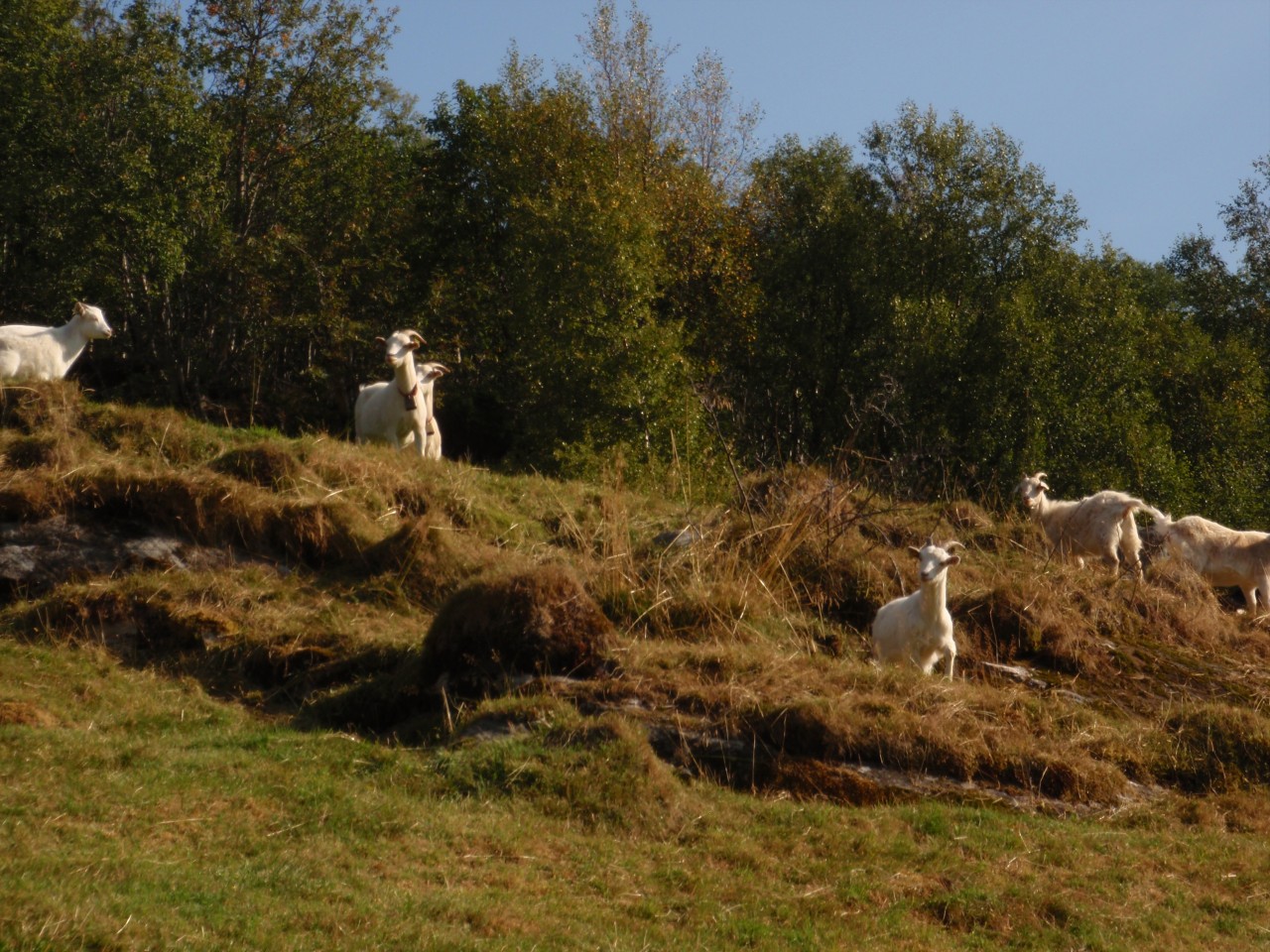 sm_P9107888.JPG