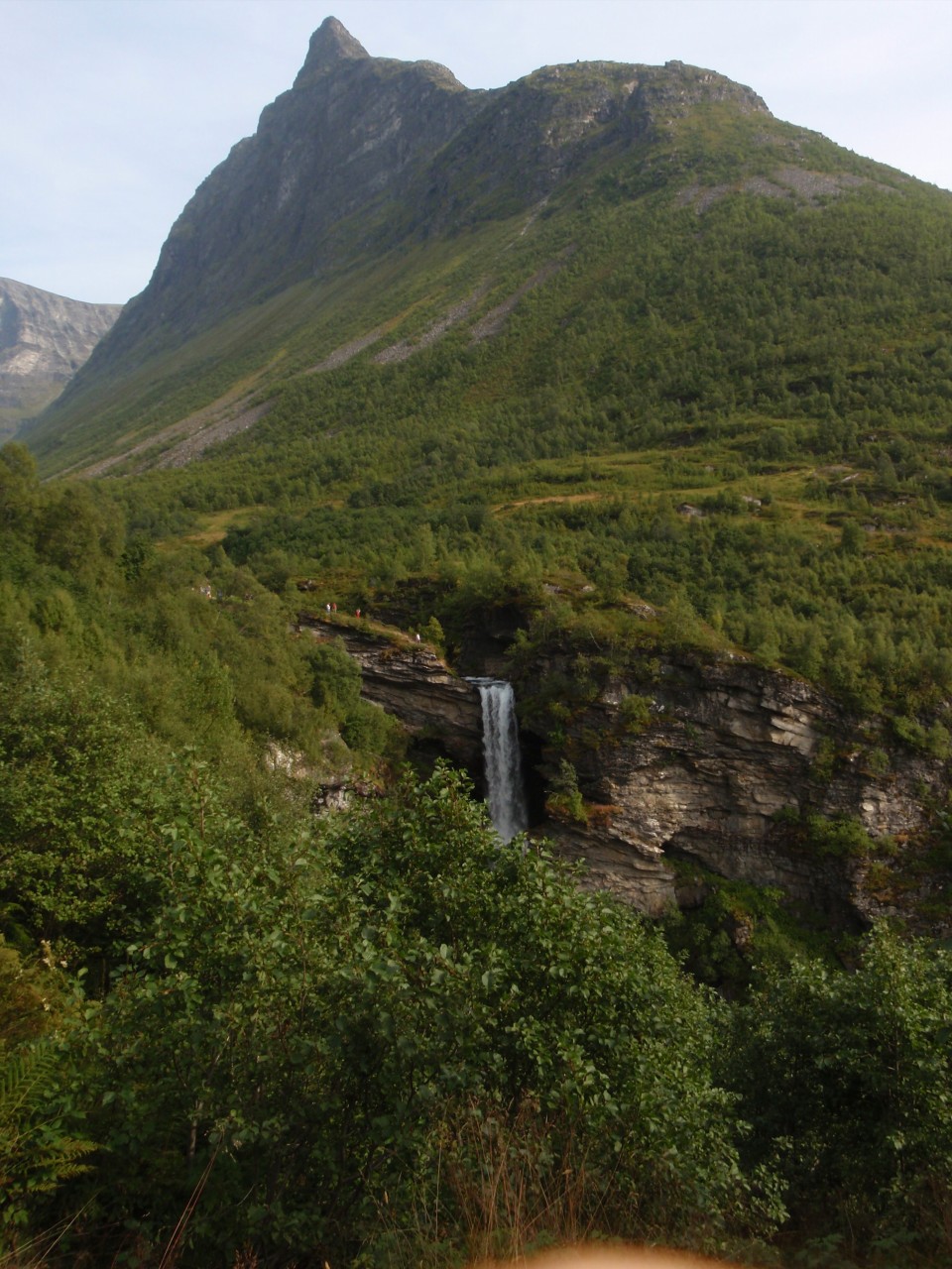sm_P9108029.JPG