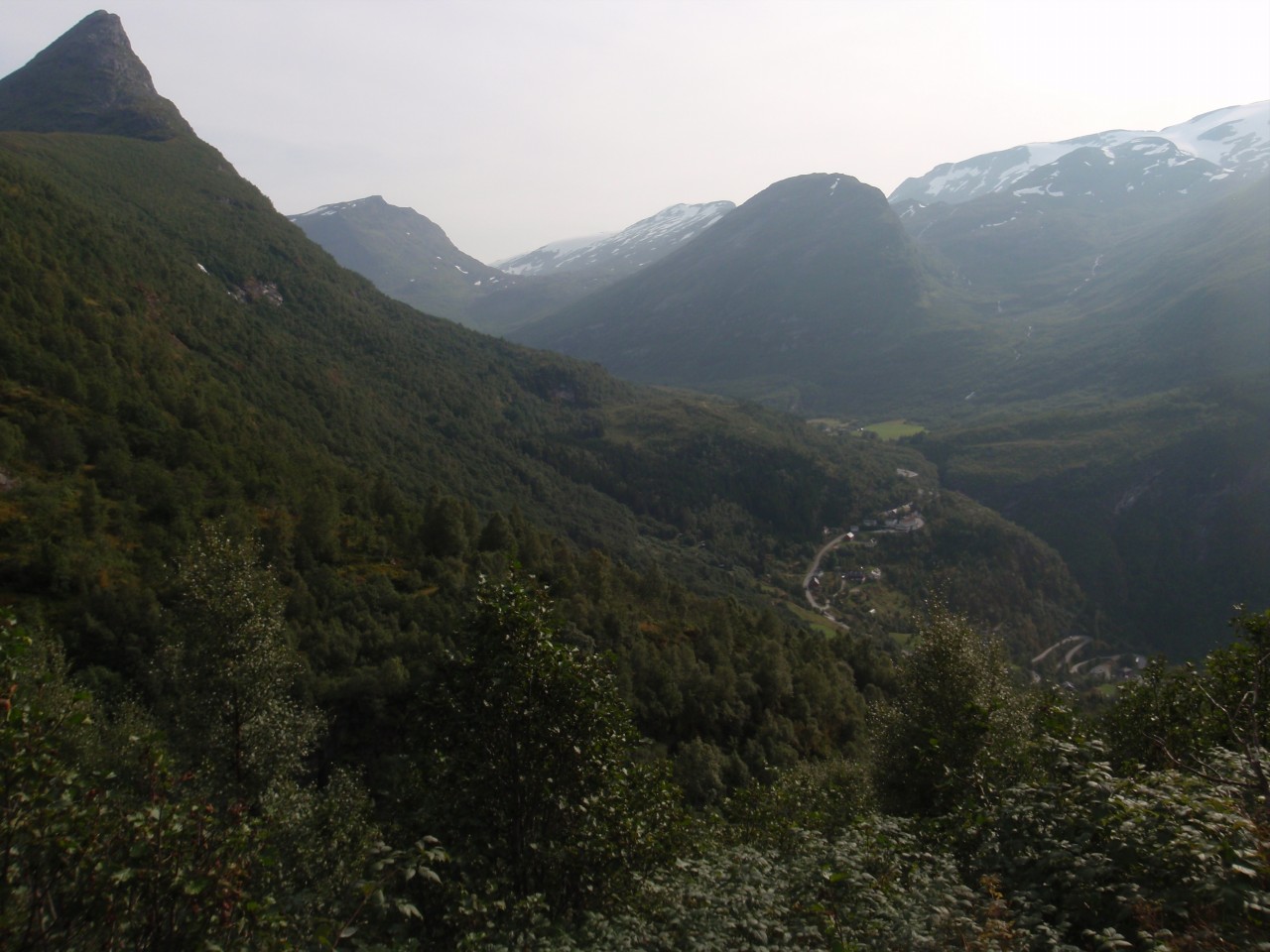 sm_P9108085.JPG
