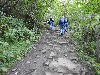 sm_DSCN5010.JPG