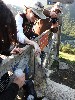 sm_DSCN5075.JPG