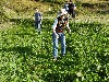 sm_DSCN5157.JPG