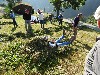 sm_DSCN5296.JPG