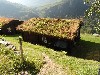 sm_DSCN5335.JPG