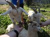 sm_DSCN5394.JPG