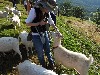 sm_DSCN5401.JPG