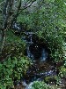 sm_P9107735.JPG