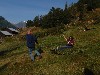 sm_P9107874.JPG