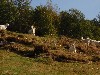 sm_P9107888.JPG