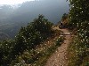sm_P9108077.JPG