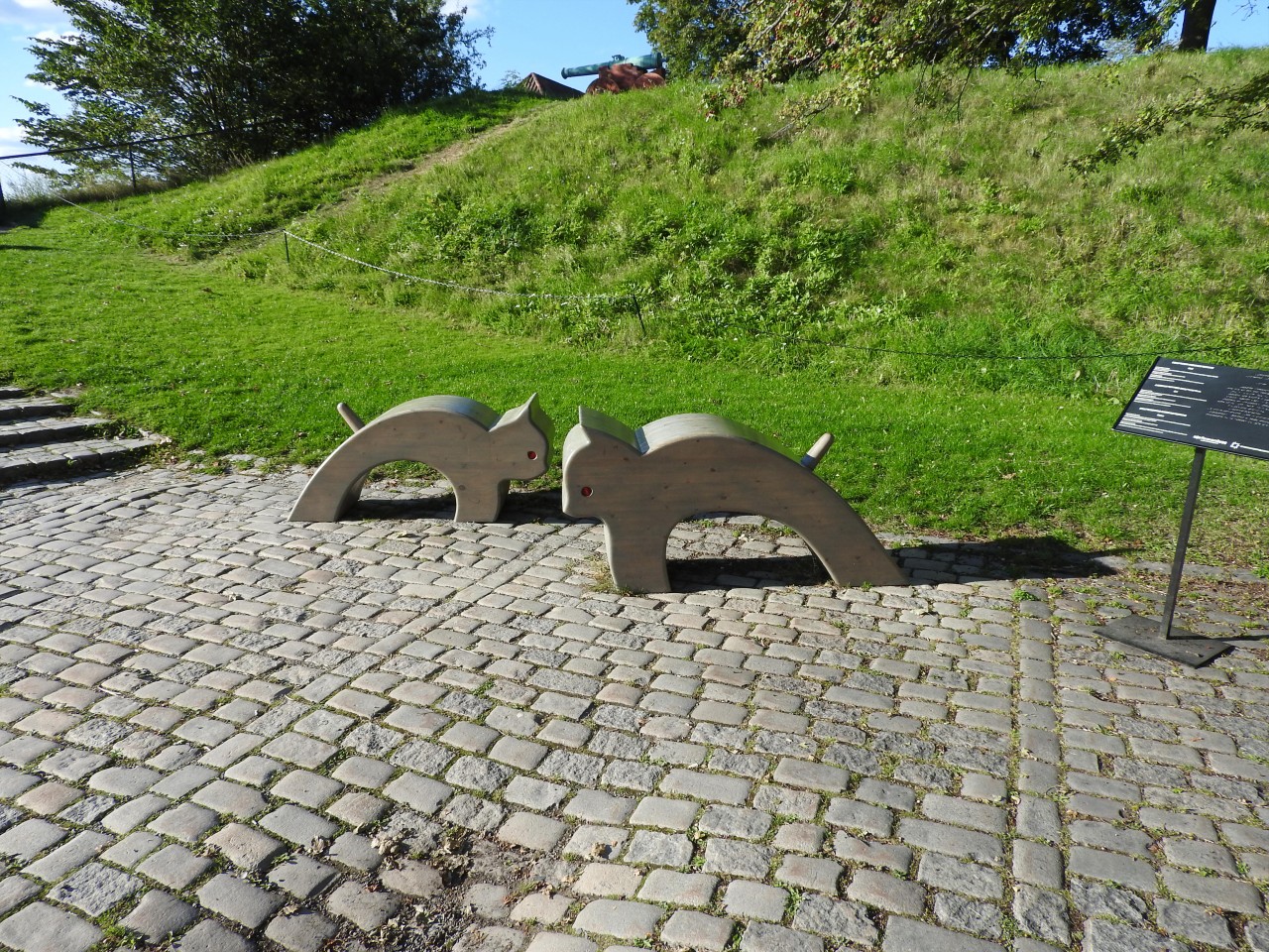 sm_DSCN5888.JPG