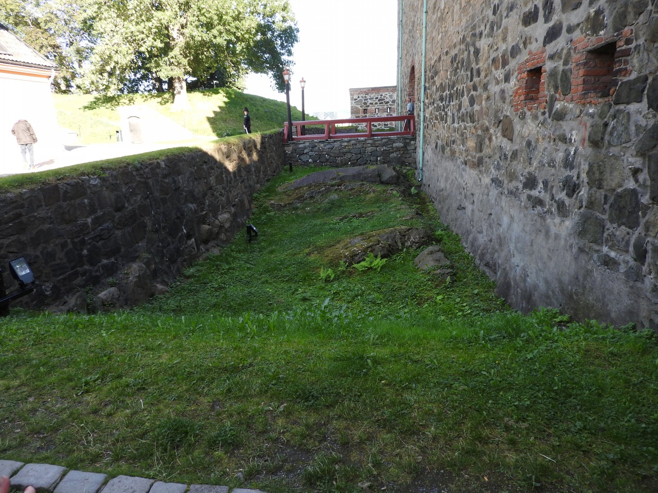 sm_DSCN5902.JPG