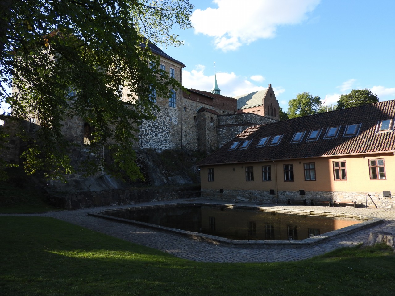 sm_DSCN5919.JPG