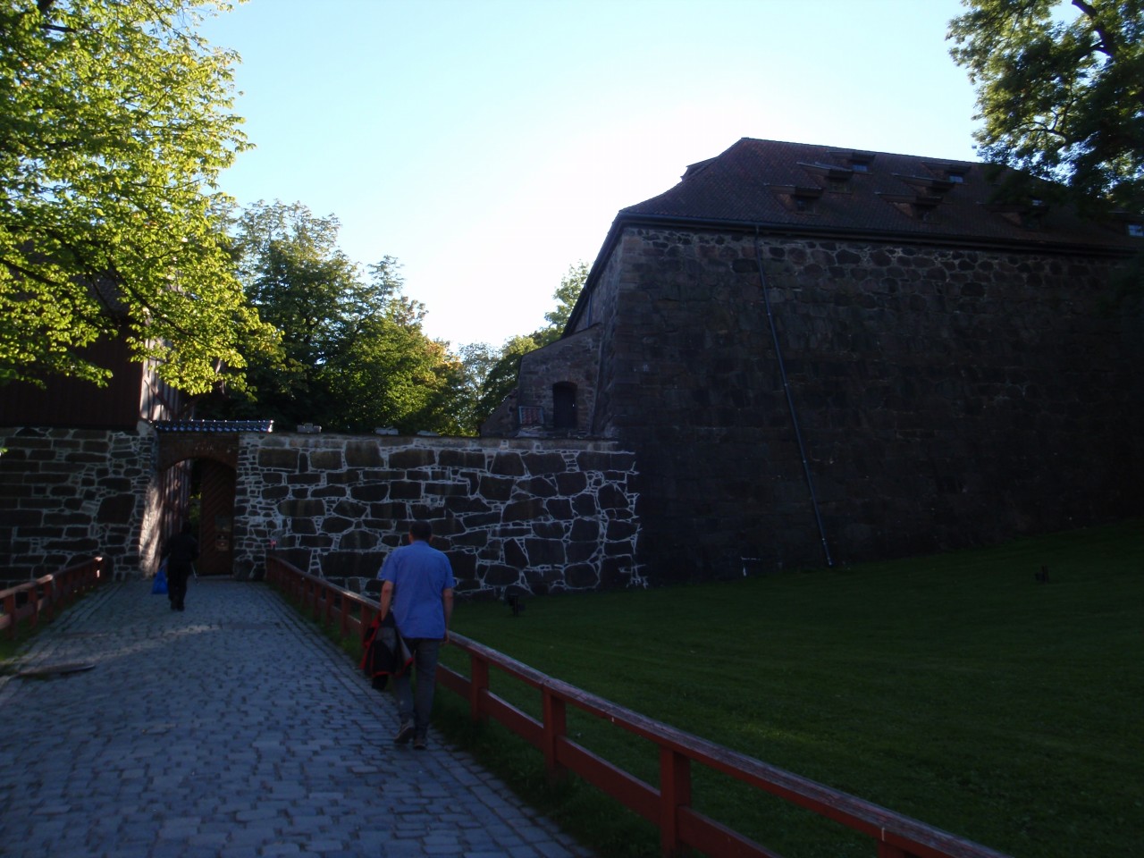 sm_P9118255.JPG
