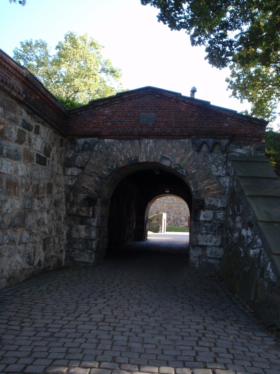 sm_P9118264.JPG