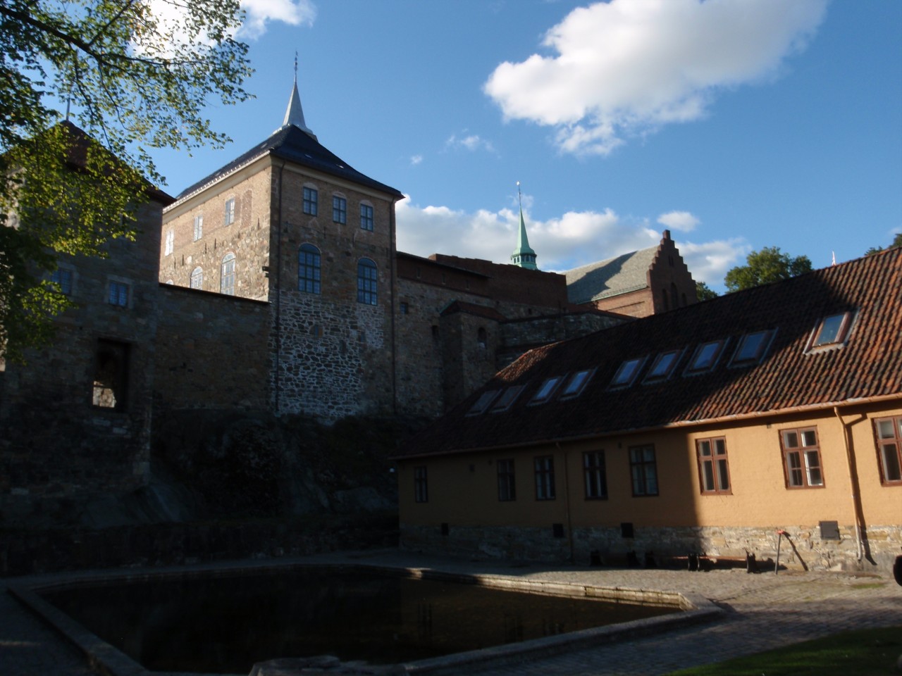 sm_P9118270.JPG