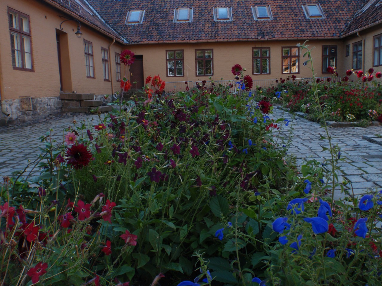 sm_P9118283.JPG