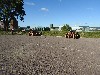 sm_DSCN5851.JPG
