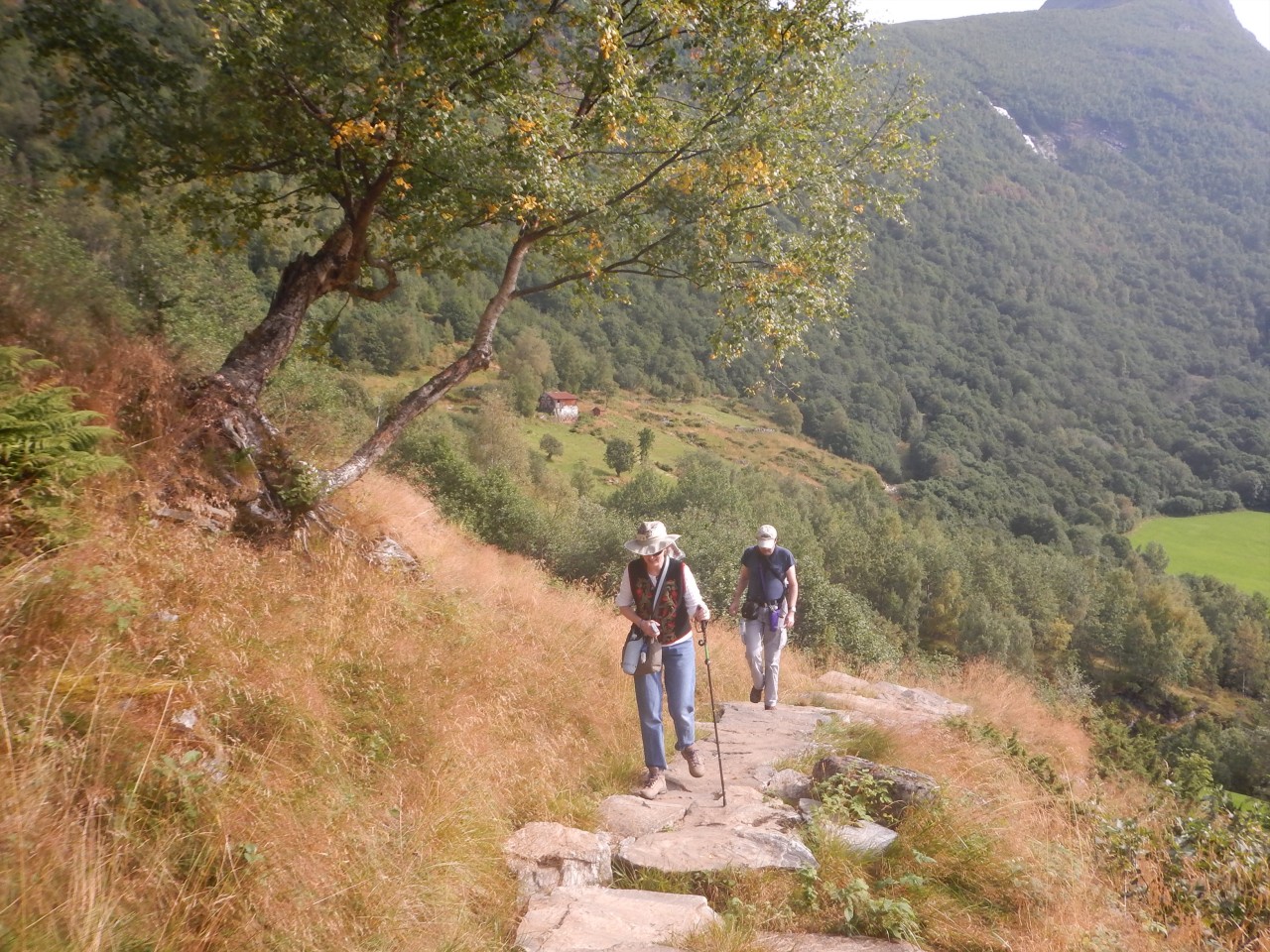 sm_1058.jpg