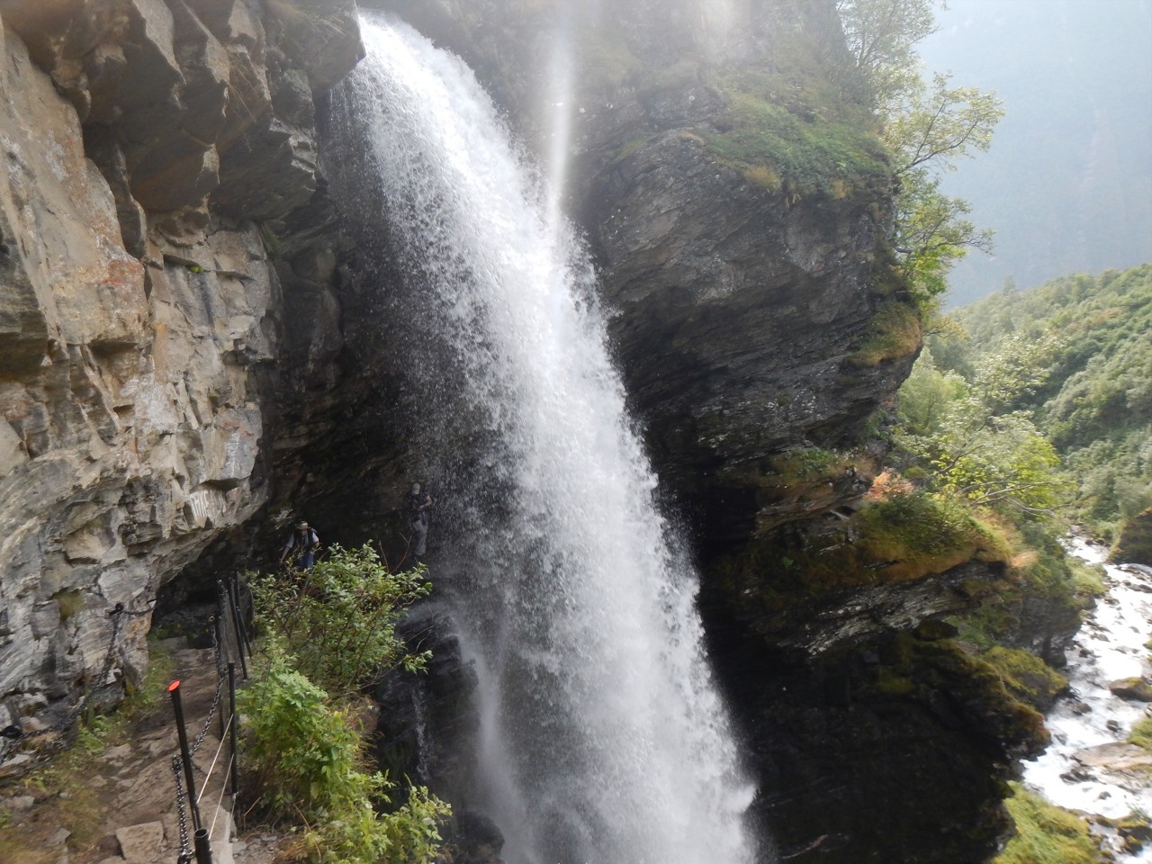 sm_1087.jpg