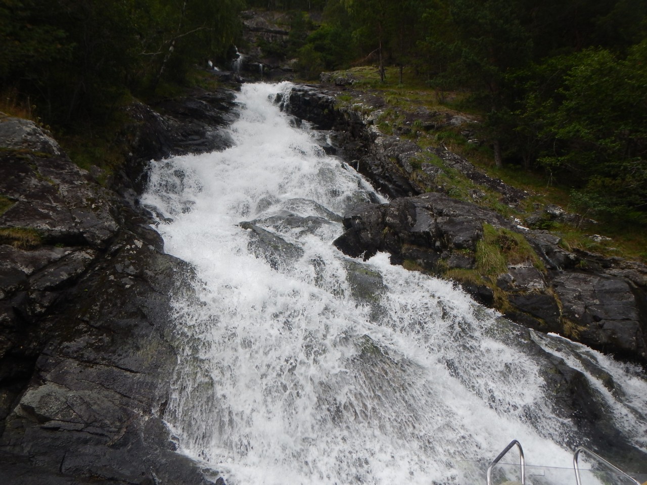 sm_346.jpg