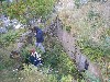 sm_561.jpg
